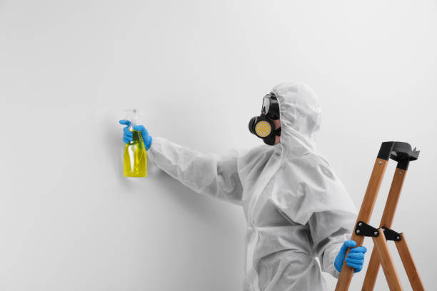 Professional Mold Removal in North Olmsted, OH